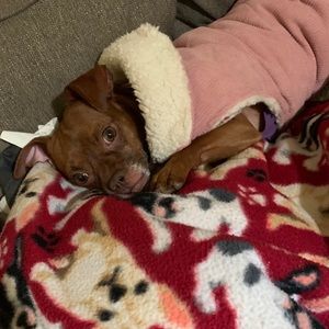 Meet your Posher, Gabrielle